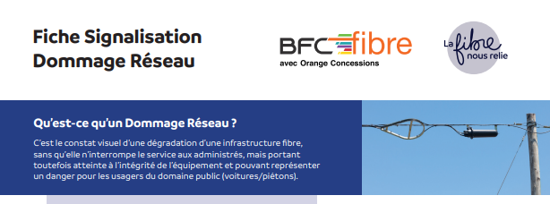 dommage réseau